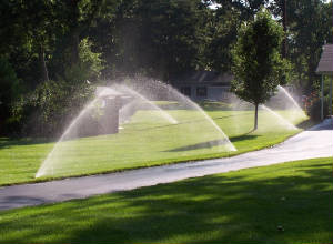 irrigation.jpg